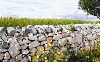 mur pierre sèche