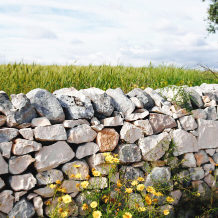 mur pierre sèche