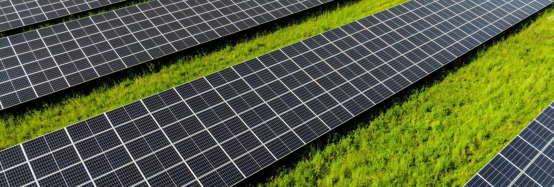 1000 m2 de panneau solaire