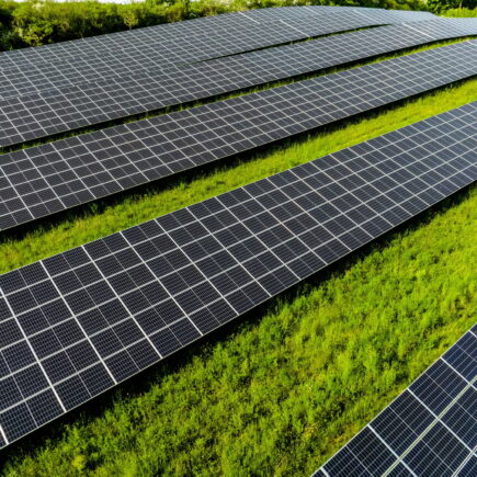 1000 m2 de panneau solaire