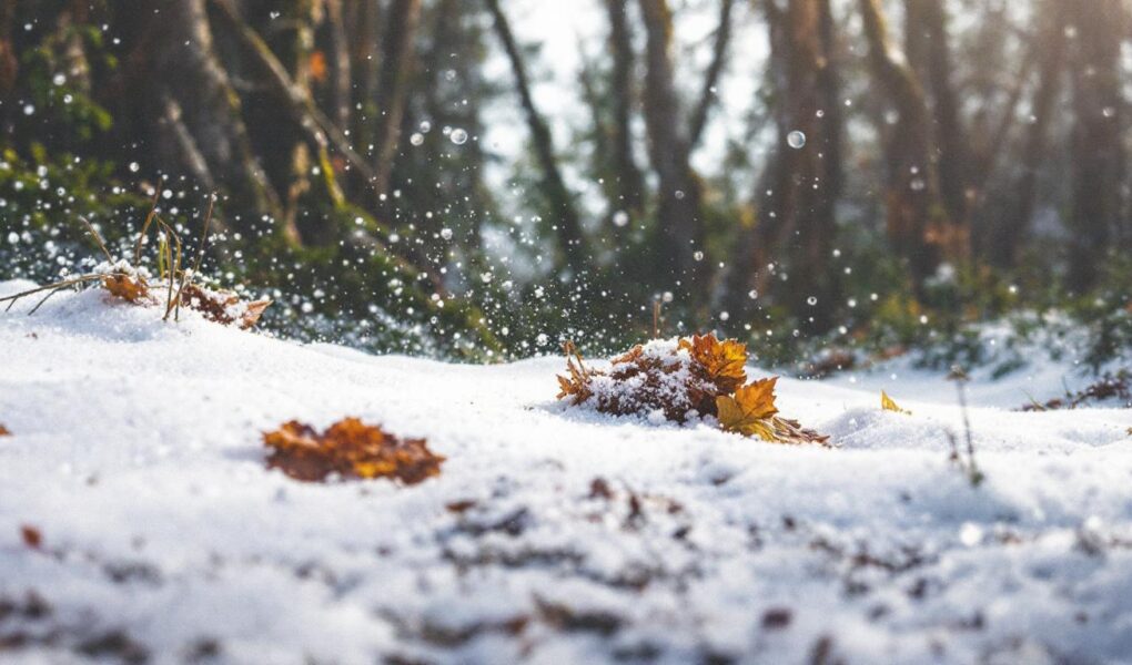 découvrez les meilleures entreprises de box de stockage à marseille, adaptées aux besoins des particuliers et des professionnels pour un espace sécurisé et flexible.