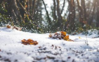 découvrez les meilleures entreprises de box de stockage à marseille, adaptées aux besoins des particuliers et des professionnels pour un espace sécurisé et flexible.