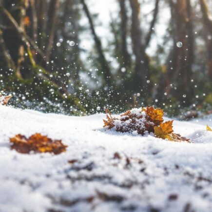 découvrez les meilleures entreprises de box de stockage à marseille, adaptées aux besoins des particuliers et des professionnels pour un espace sécurisé et flexible.