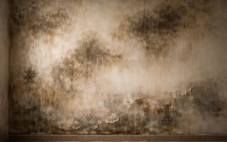 découvrez comment identifier les signes avant-coureurs d'un taux d'humidité élevé sur un mur en plâtre et prévenir les dégâts grâce à nos conseils pratiques.